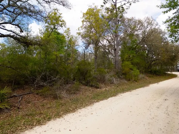 a view of a yard with a tree