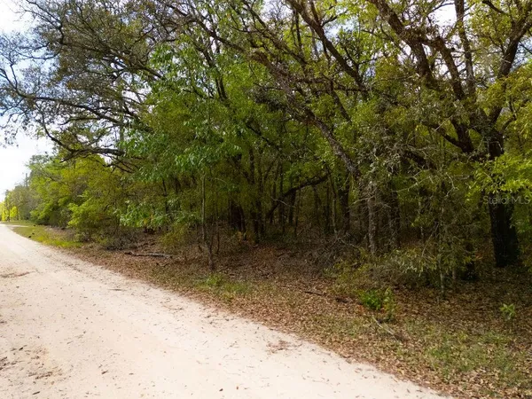 a view of backyard with green space
