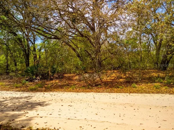 a view of a yard with wooden fence