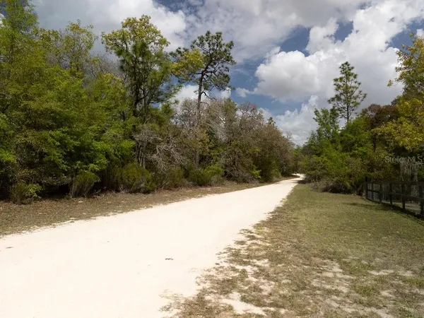 a view of a yard with plants and trees