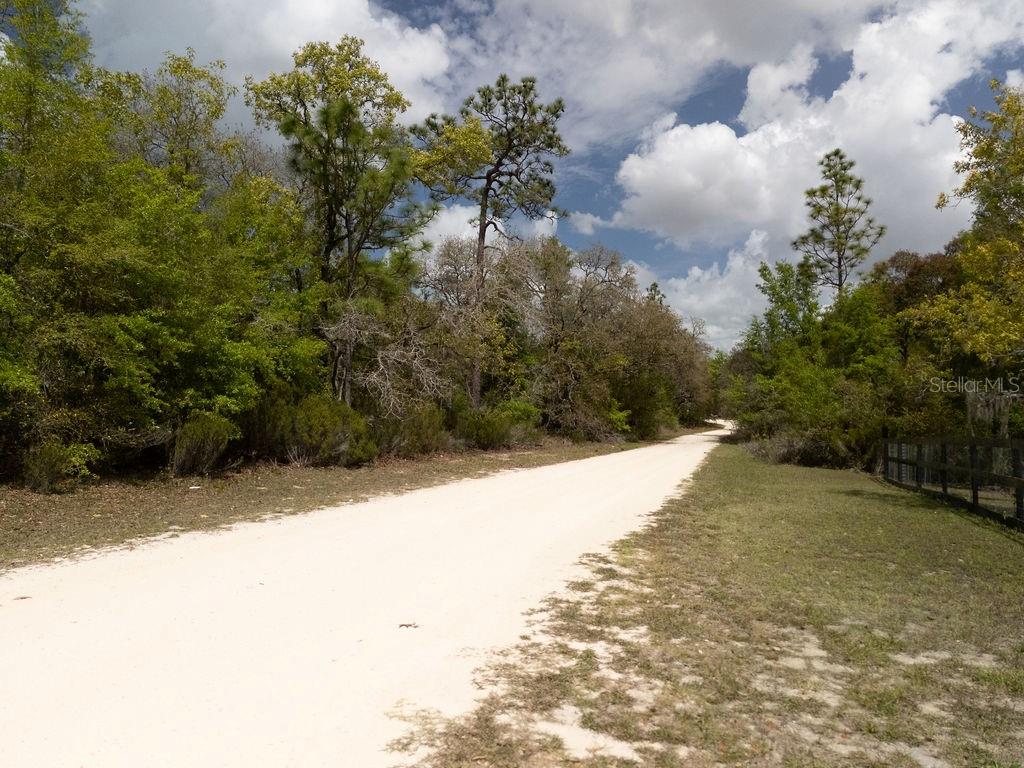 0 Northeast 131st Terrace Bronson, FL 32621 - Photo 9 of 24 a view of a yard with plants and trees