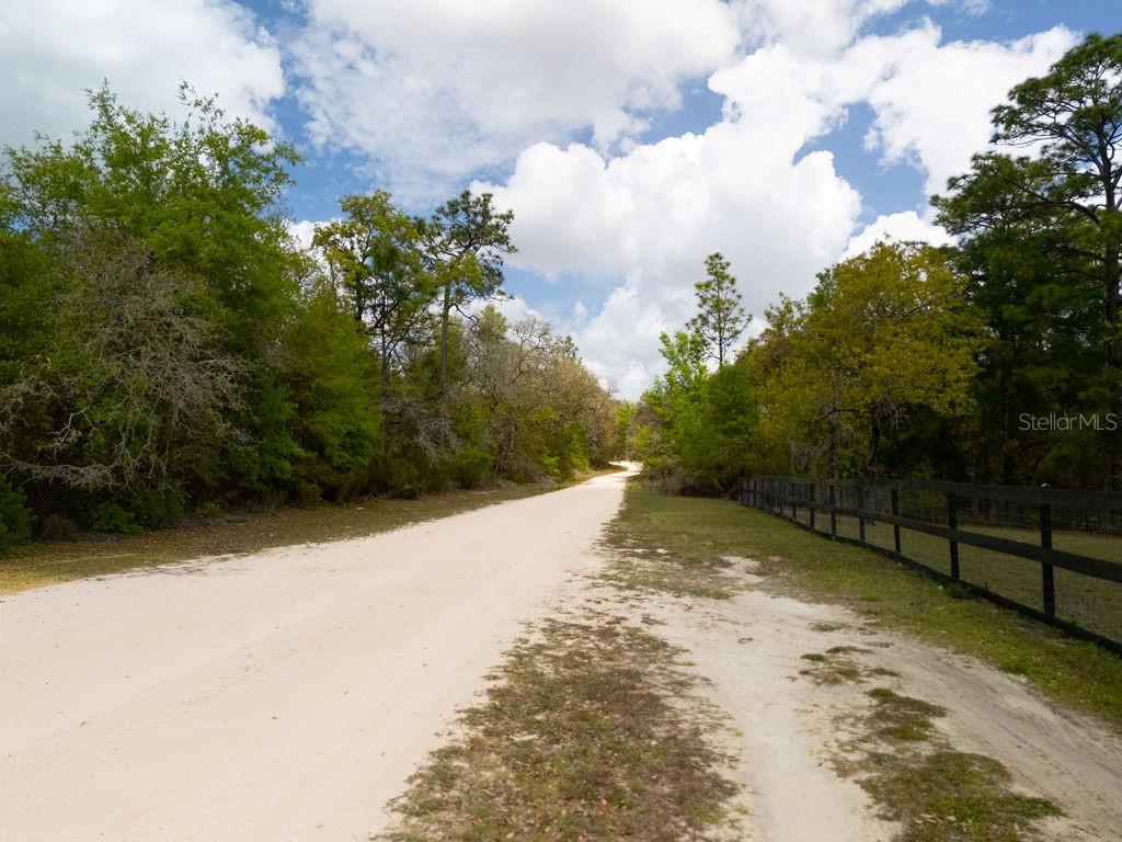 0 Northeast 131st Terrace Bronson, FL 32621 - Photo 10 of 24 a view of a yard with plants and trees