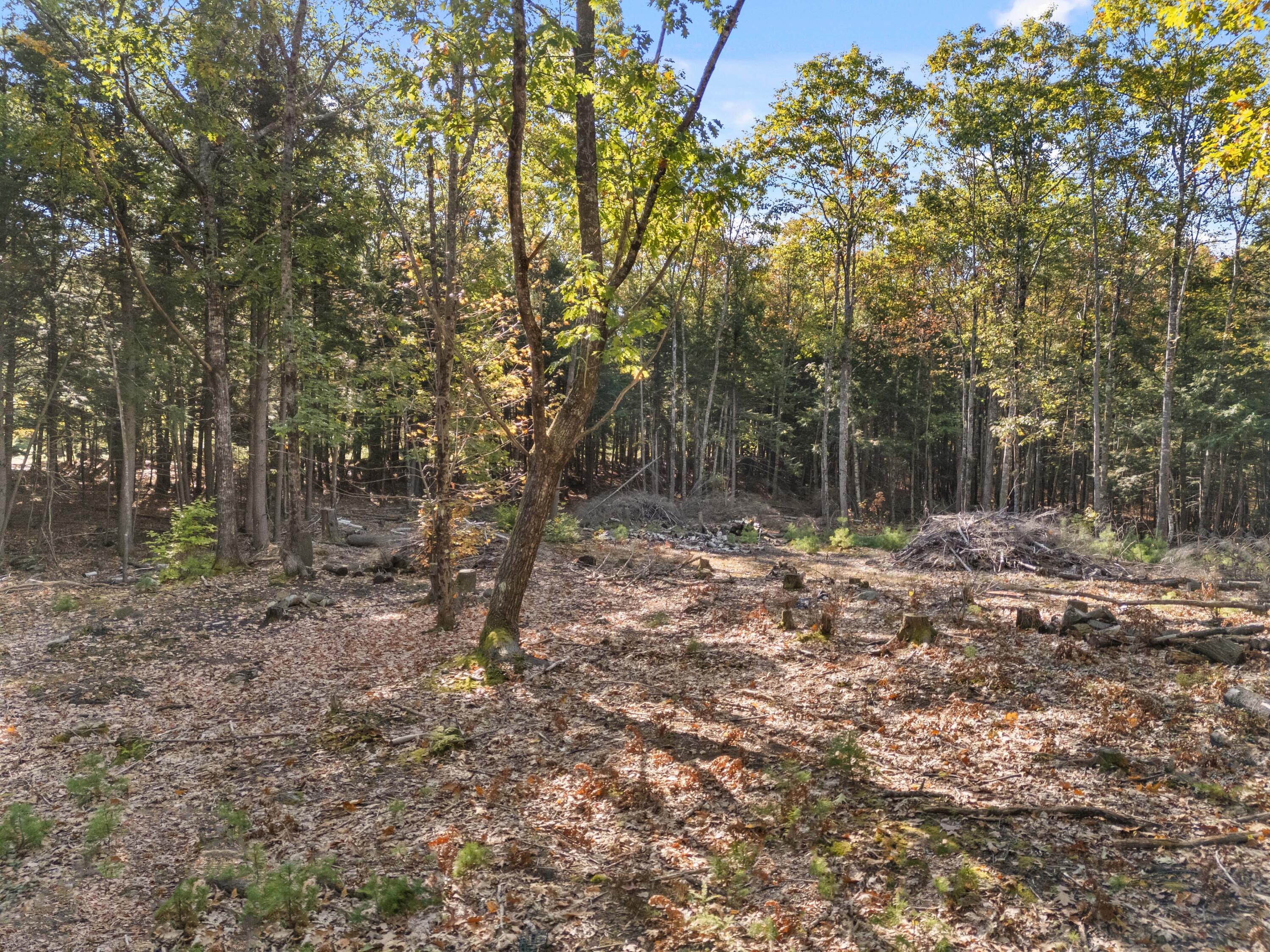 M7-l21 Beedle Road Richmond, ME 04357 - Photo 13 of 13 Map 7, Lot 21 - Richmond, ME (13)