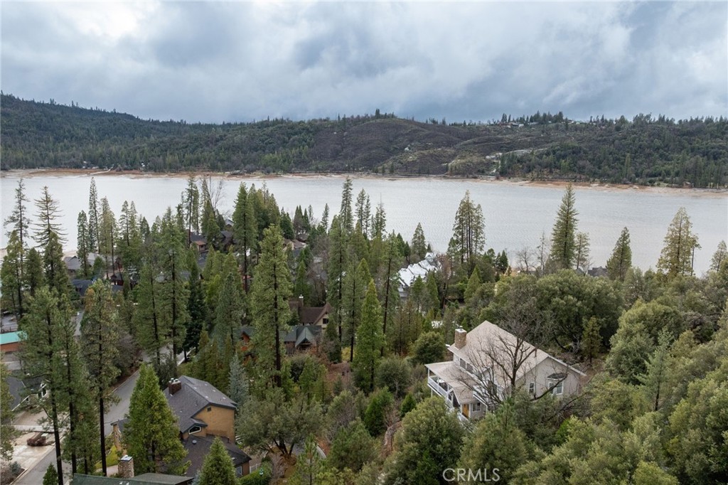39818 Granite Ridge Lane Bass Lake, CA 93604 - Photo 58 of 58 Beautiful lake view