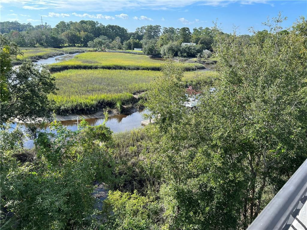 133 Yellow Blf Lane Brunswick, GA 31520 - Photo 17 of 35 4th floor water view