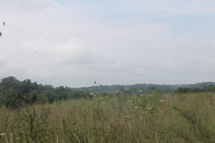 1 Blue Licks Rd Mount Carlisle, KY 40311 - Photo 5 of 8 Photo 5