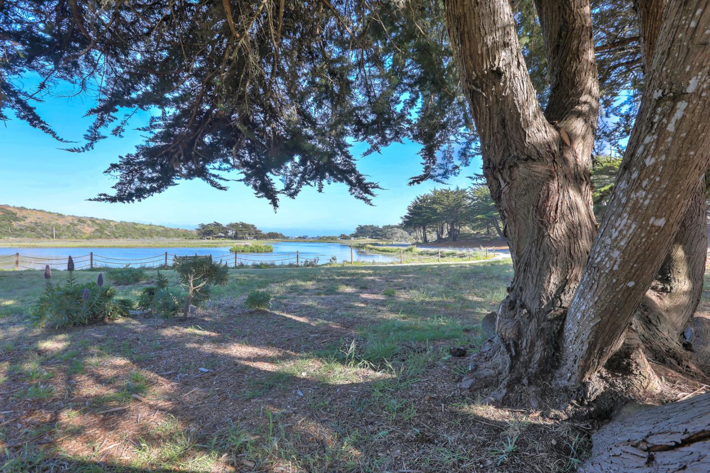 101 Shell Road, Unit 285 Watsonville, CA 95076 - Photo 22 of 27 a view of a yard with a tree