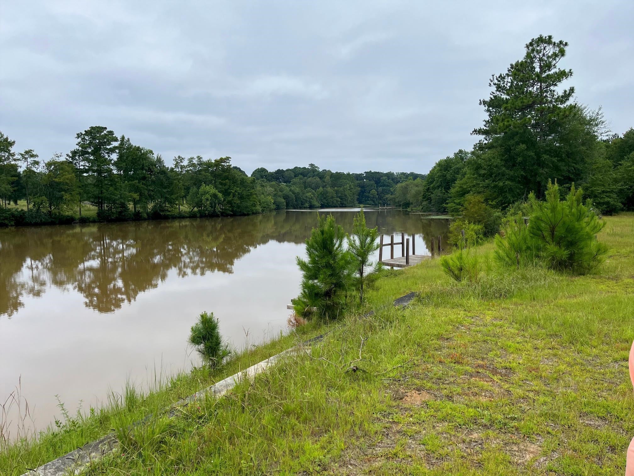 27991 Harbor Road Andalusia, AL 36421 - Photo 9 of 12 Gallery Image 9