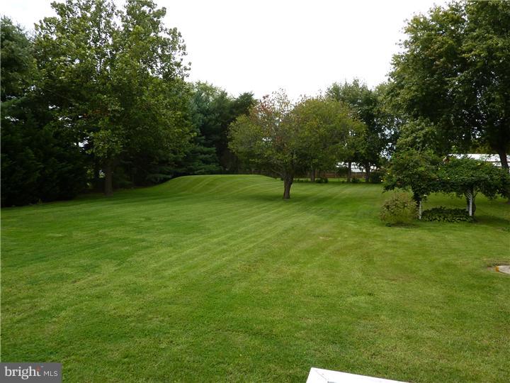 713 Betts Road Middletown, DE 19709 - Photo 8 of 23 Back Yard