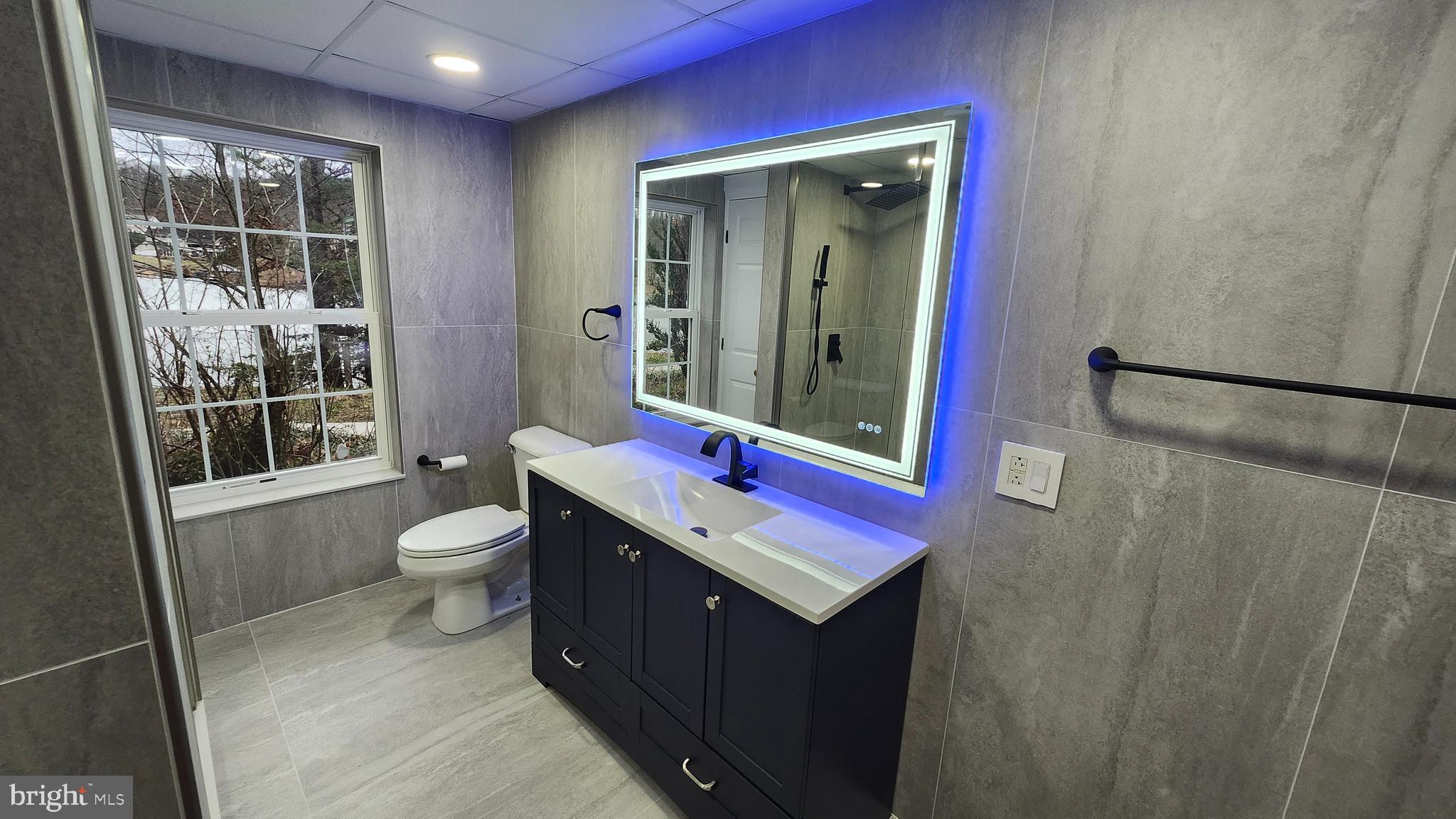 202 Lakeside Loop Ridgeley, WV 26753 - Photo 35 of 45 a bathroom with a toilet a sink and a mirror