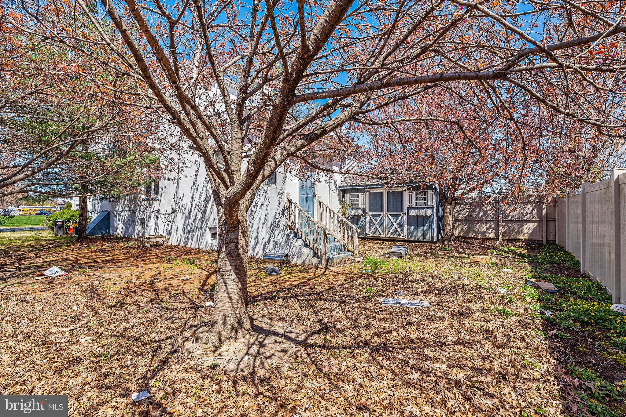 16 Volusia Avenue Hamilton, NJ 08610 - Photo 24 of 50 a tree in front of a white house