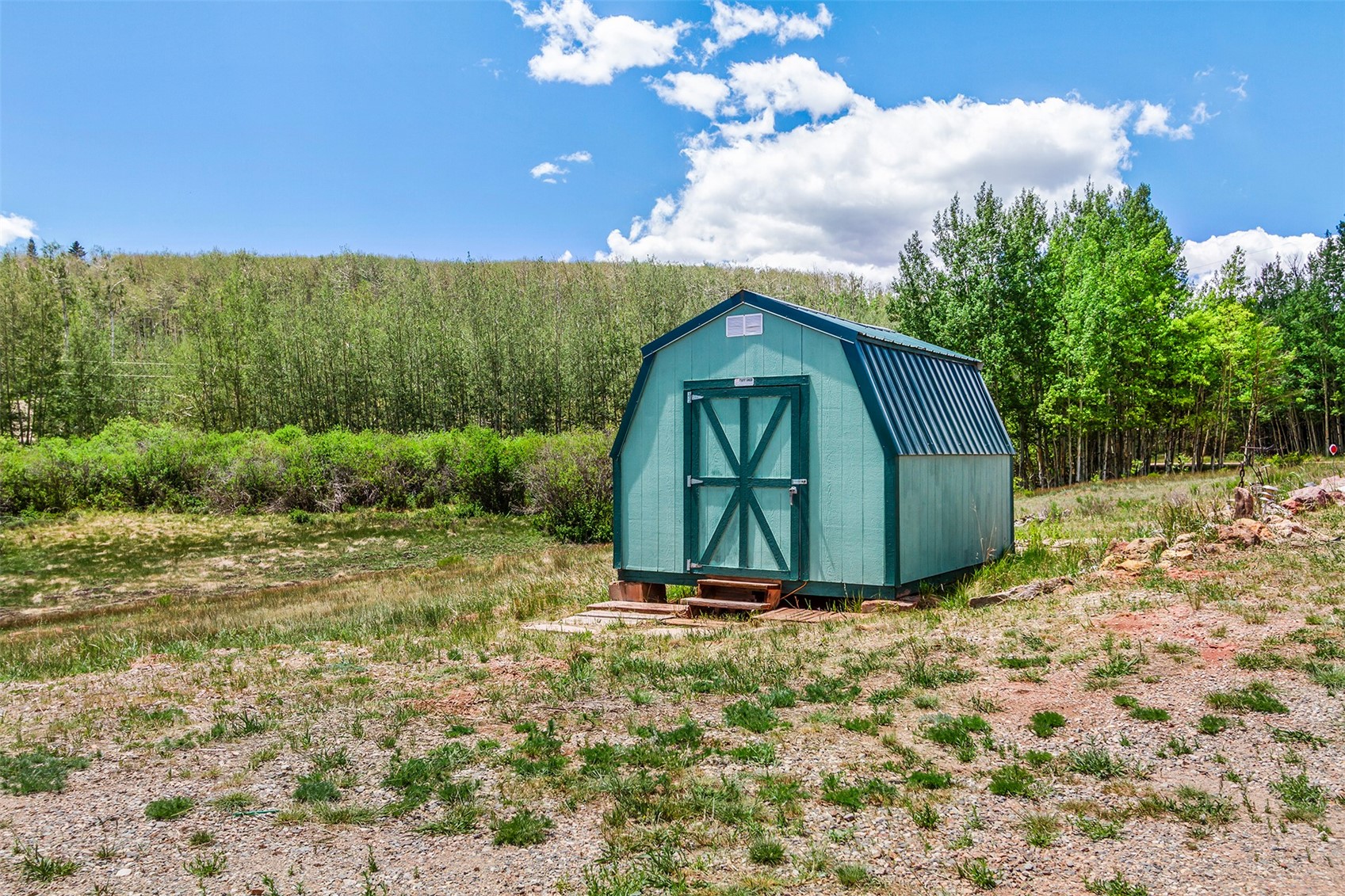 36 Iron Mountain Road Fairplay, CO 80440 - Photo 37 of 44