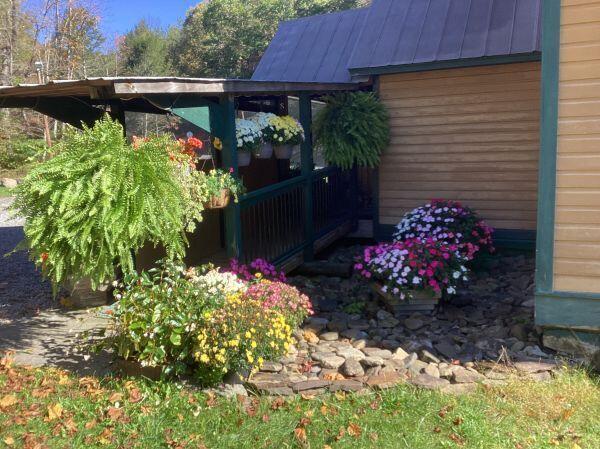 3756 Jerico Road Marlinton, WV 24954 - Photo 6 of 46 Gallery Image 6