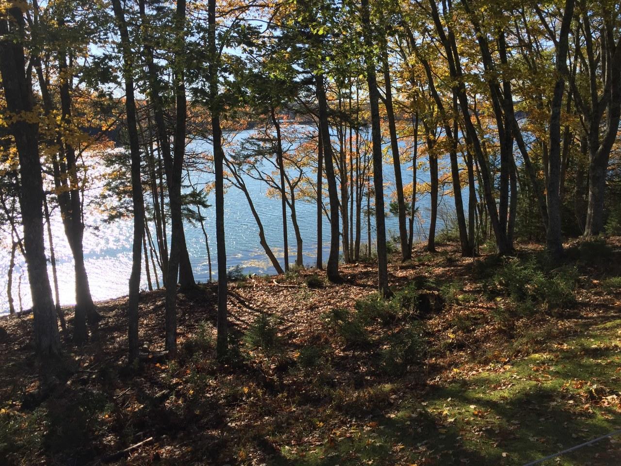 134 Treasure Point Road St. George, ME 04860 - Photo 32 of 34 Shore front from deck