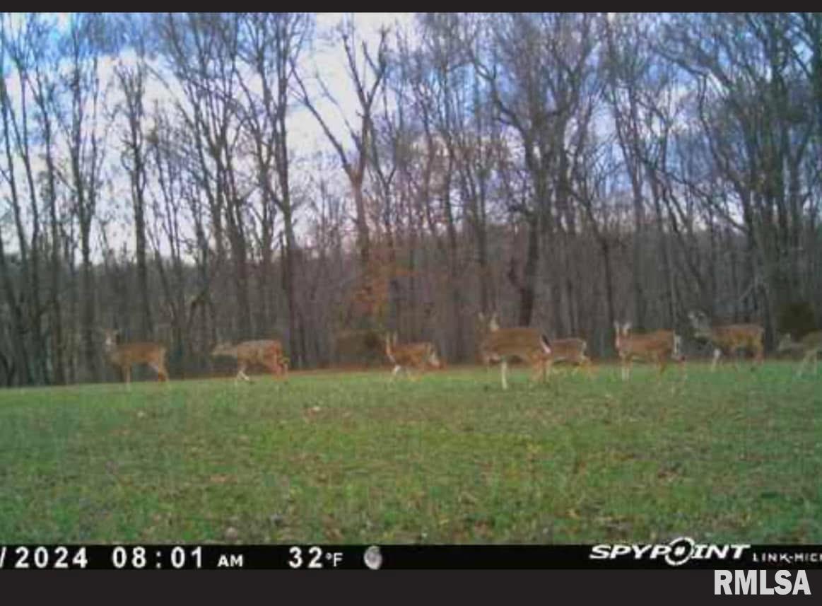 550 Body Barn Road Anna, IL 62906 - Photo 9 of 38