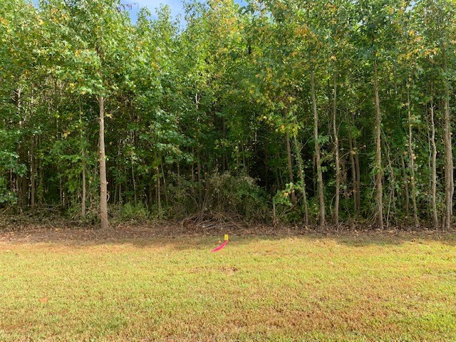 D Cheriton Cross Road, Unit D Cape Charles, VA 23310 - Photo 7 of 37