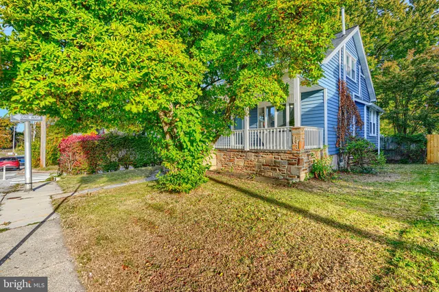 a view of a backyard with plants and large trees