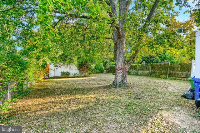a view of a yard with large trees