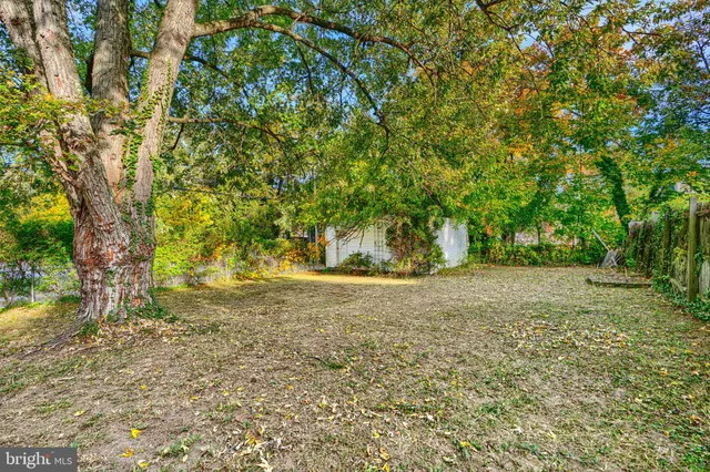 a view of a yard with a tree