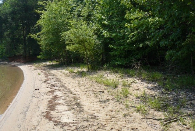 Lot 6 Jackson Road Anderson, SC 29626 - Photo 7 of 19