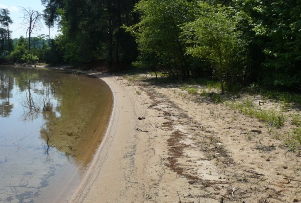 Lot 6 Jackson Road Anderson, SC 29626 - Photo 8 of 19