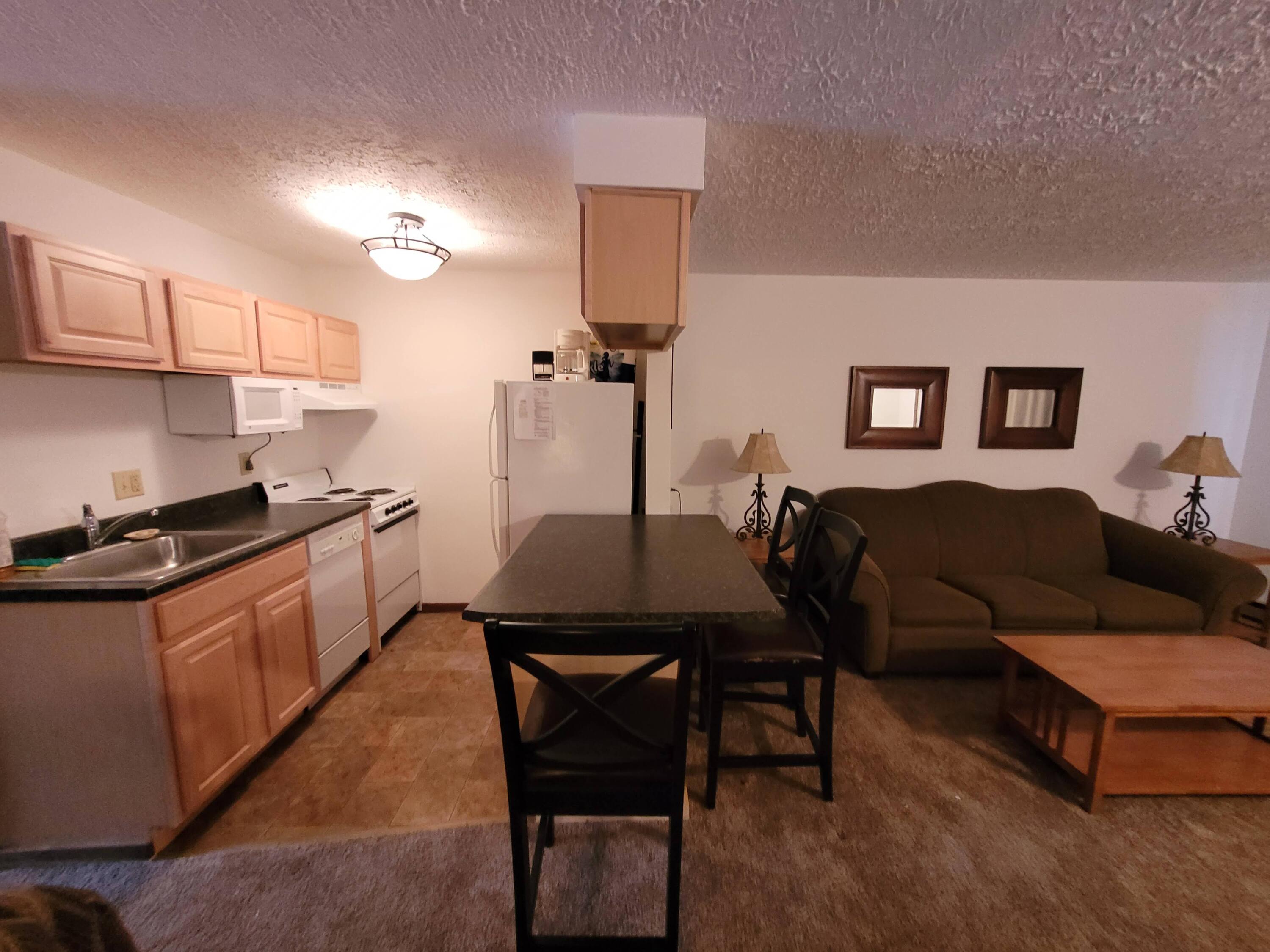 42 Ridgewood Street, Unit 37 Snowshoe, WV 26209 - Photo 2 of 23 Gallery Image 2