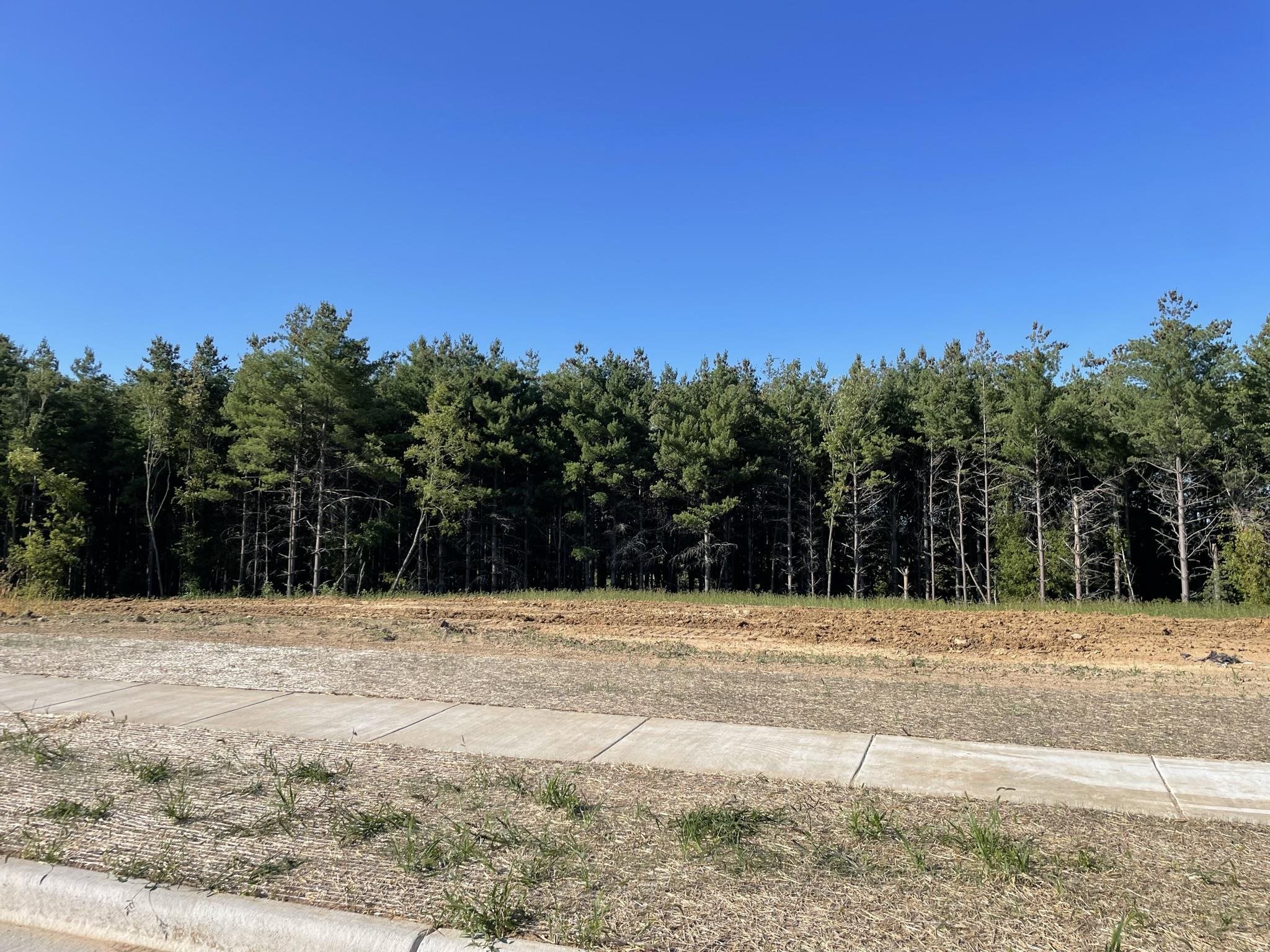 L93 Colt Belleville Wi  