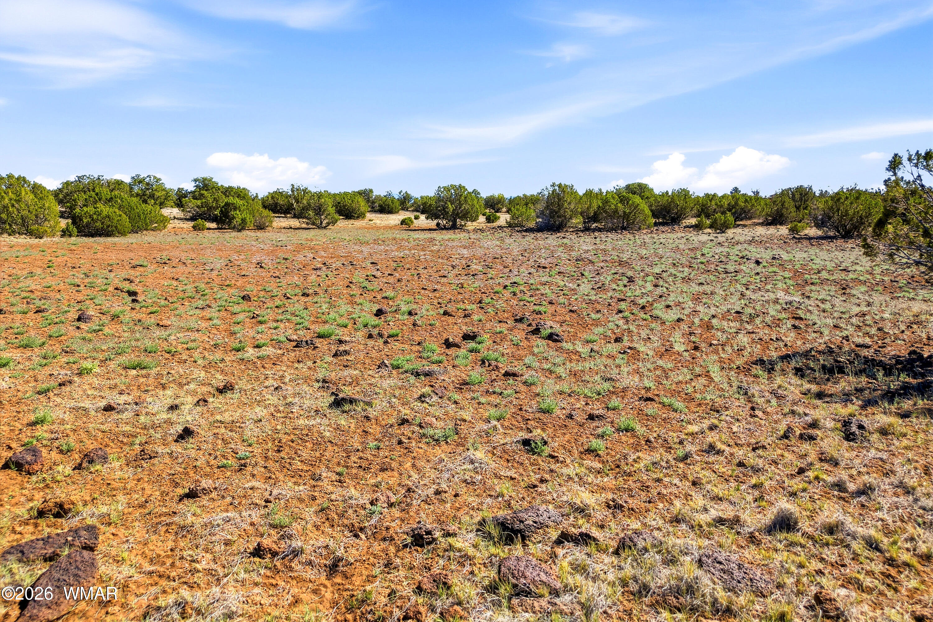 8085 County Road Concho, AZ 85924 - Photo 8 of 16