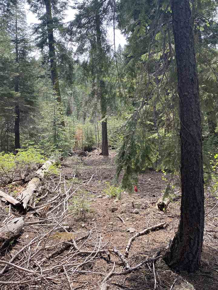 14660 Devils Peak Road Truckee, CA 96161 - Photo 10 of 21 Gallery Image 10