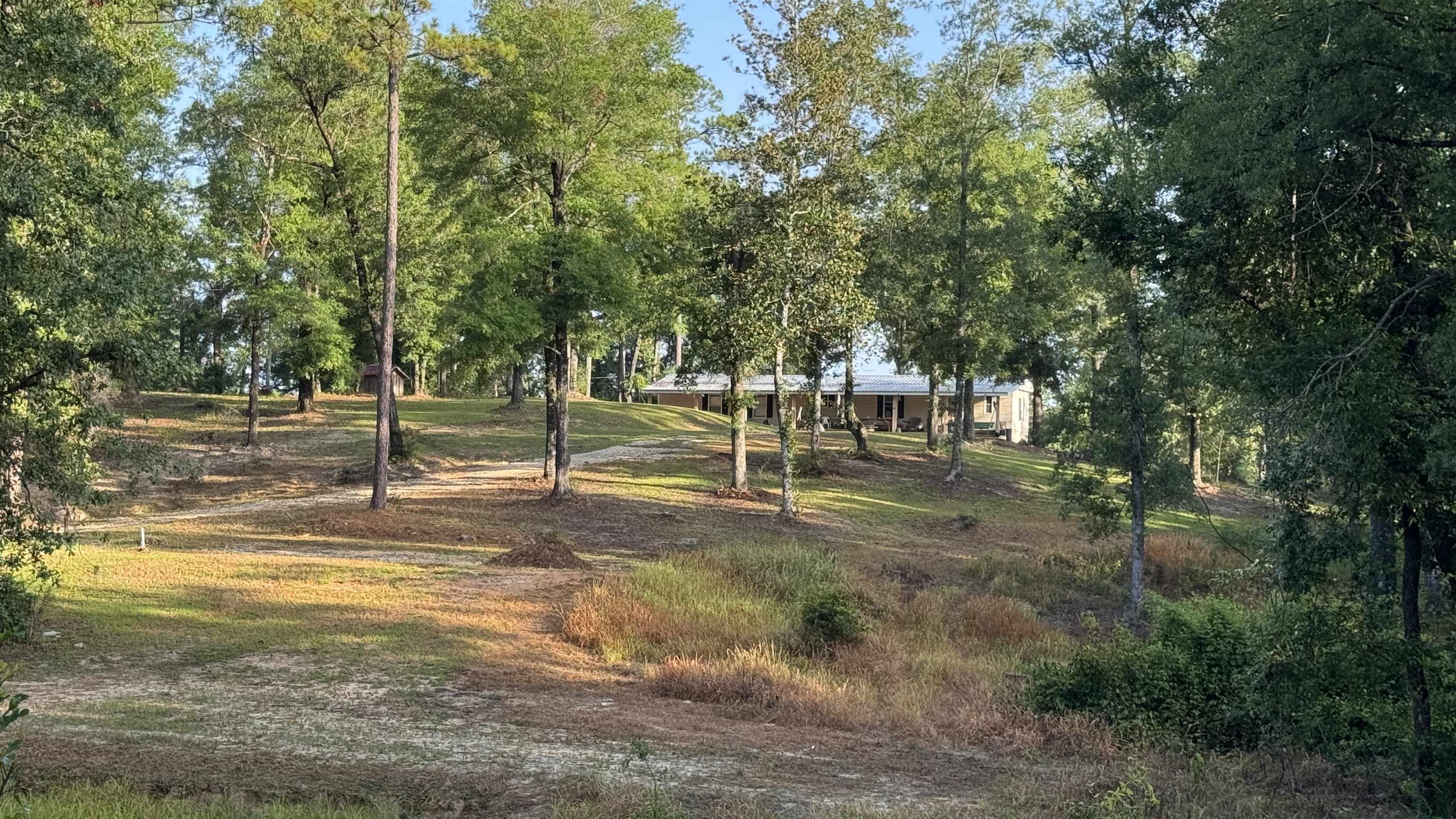1050 Cedar Creek Landing Road Mount Vernon, AL 36560 - Photo 31 of 59 Community
