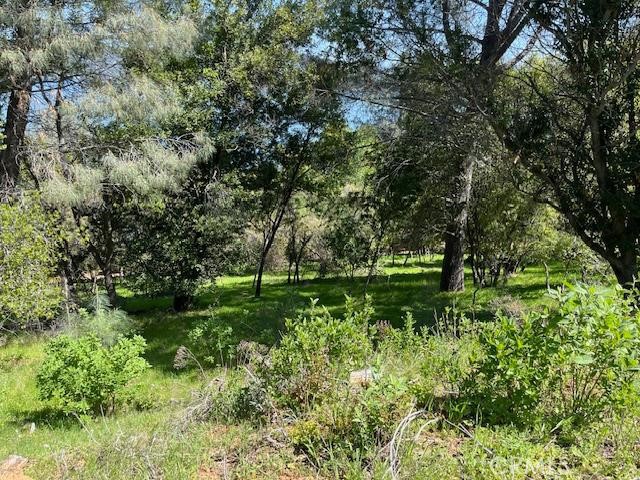 8444 Soda Bay Road Kelseyville, CA 95451 - Photo 3 of 9 a backyard of a house with lots of green space