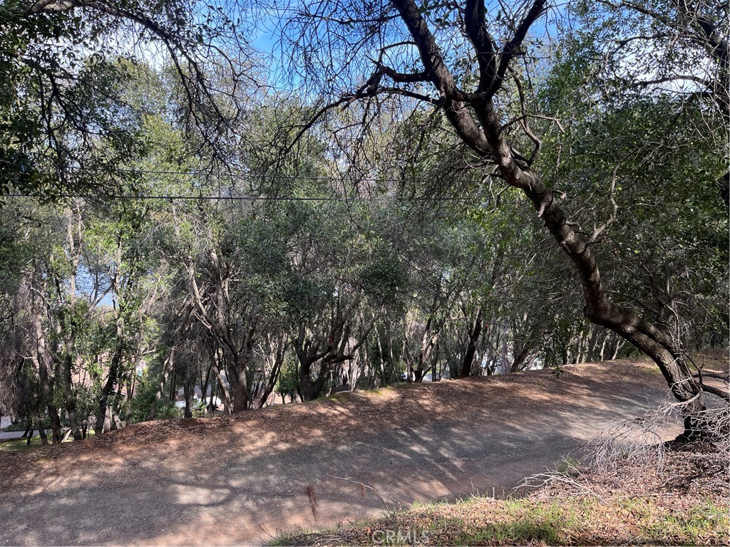 8444 Soda Bay Road Kelseyville, CA 95451 - Photo 6 of 9 a view of outdoor space with trees