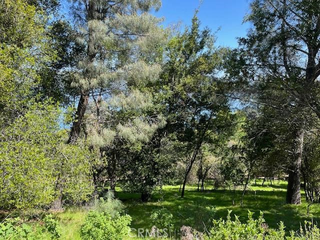 8444 Soda Bay Road Kelseyville, CA 95451 - Photo 9 of 9 a view of a park with large trees
