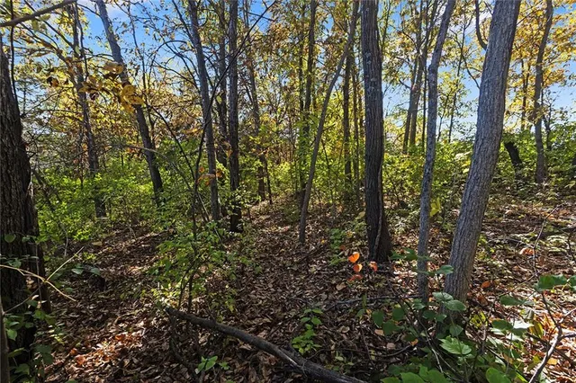 $38,000 | Lot 21 None Drive, Excelsior Springs, MO 64024