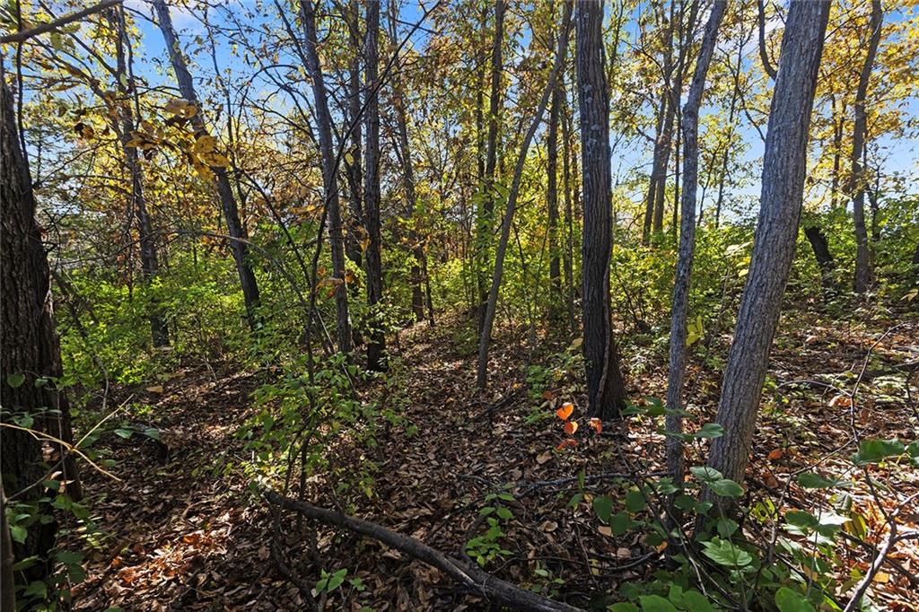 Lot 21 None Drive Excelsior Springs, MO 64024 - Photo 13 of 28