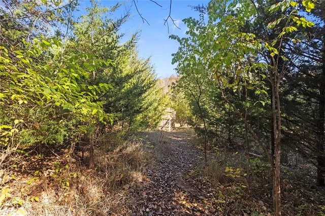 $38,000 | Lot 21 None Drive, Excelsior Springs, MO 64024