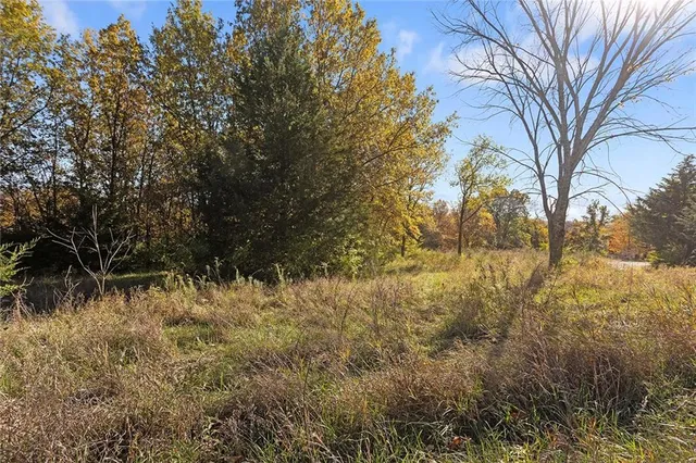 $38,000 | Lot 21 None Drive, Excelsior Springs, MO 64024