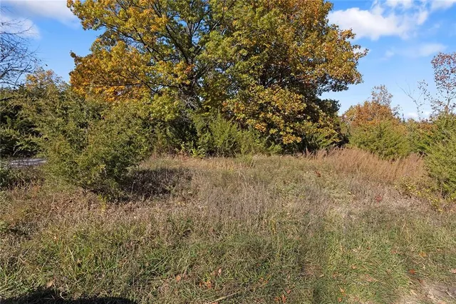 $38,000 | Lot 21 None Drive, Excelsior Springs, MO 64024