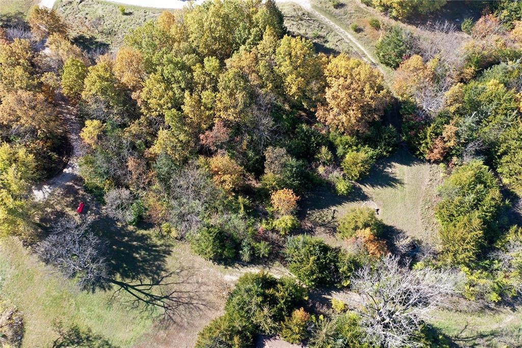 Lot 21 None Drive Excelsior Springs, MO 64024 - Photo 27 of 28