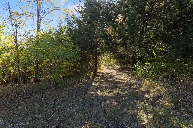 $38,000 | Lot 21 None Drive, Excelsior Springs, MO 64024