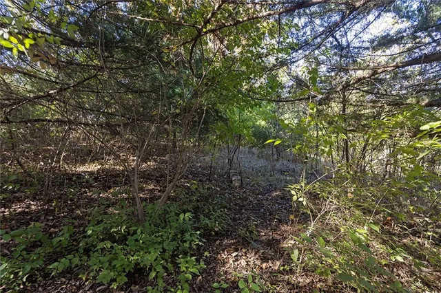 $38,000 | Lot 21 None Drive, Excelsior Springs, MO 64024