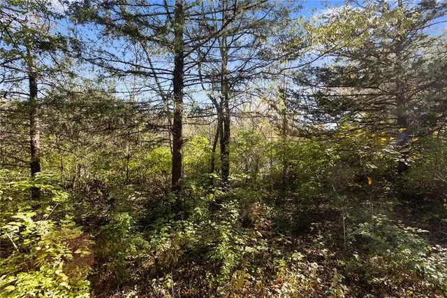 $38,000 | Lot 21 None Drive, Excelsior Springs, MO 64024