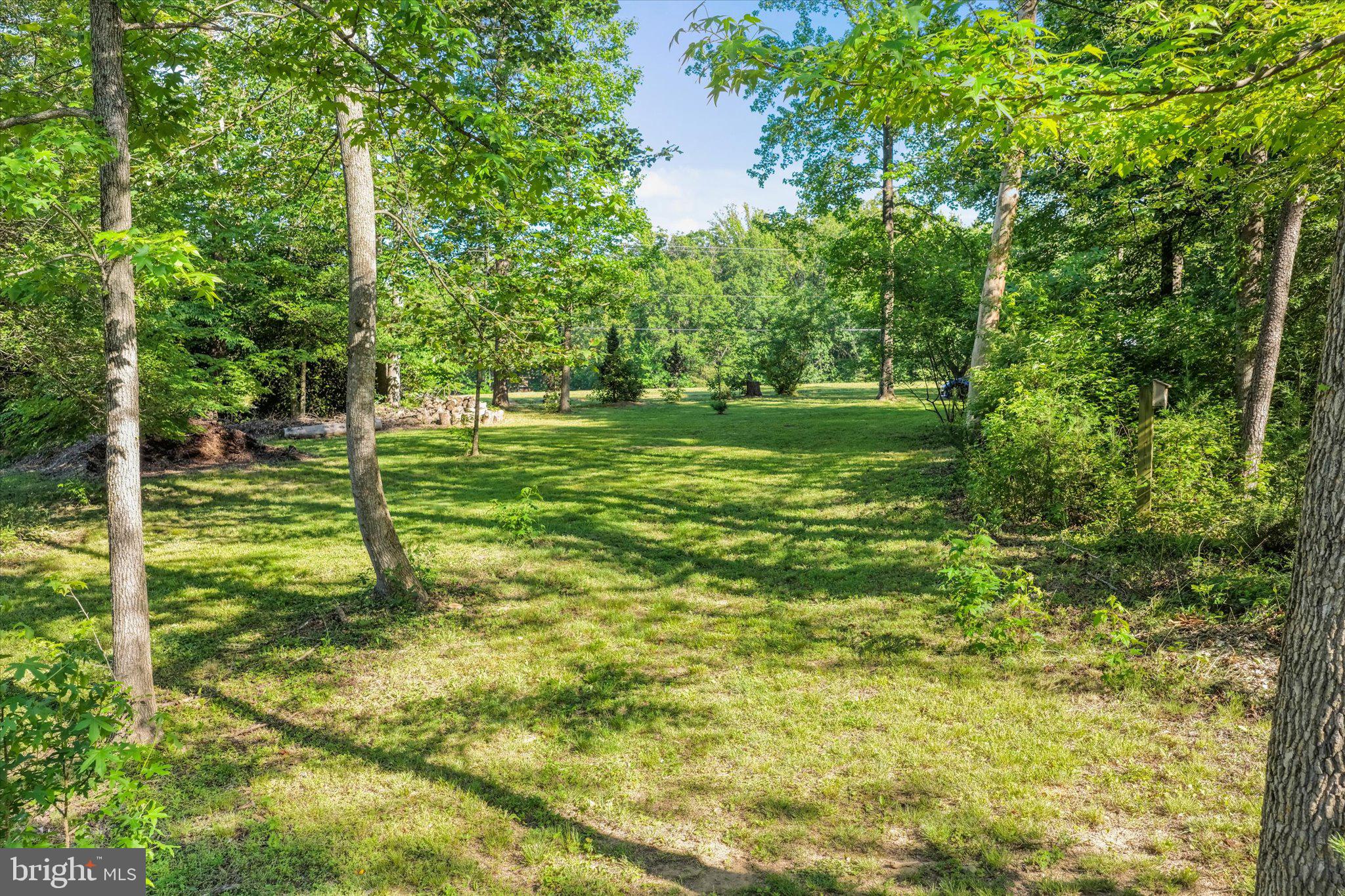 230 Richards Ferry Road Fredericksburg, VA 22406 - Photo 65 of 96 Serene green oasis in nature's embrace.