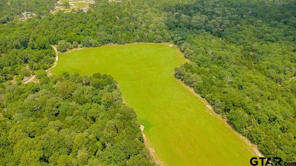 a view of a large yard with large trees