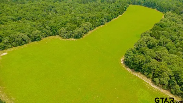 a view of a large yard