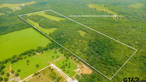 a view of a yard with a swimming pool