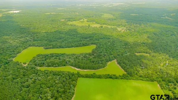 a view of a field with an ocean