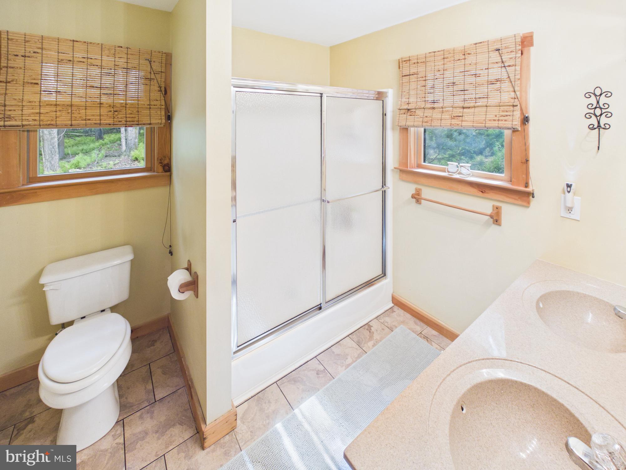 477 Finn Swamp Road Lakeville, PA 18438 - Photo 40 of 53 Primary bath