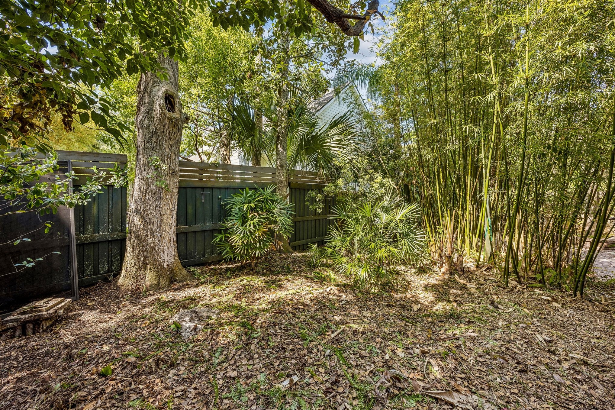 408 Beech Street Fernandina Beach, FL 32034 - Photo 22 of 67