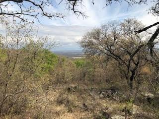 1190 Post Oak Road Gordon, TX 76453 - Photo 4 of 19 a view of a yard in a forest